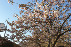 20190408_080906